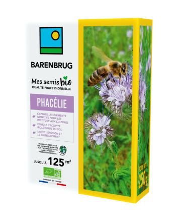 Phacélie BIO Barenbrug 250g - Engrais Vert Fabriqué En France
